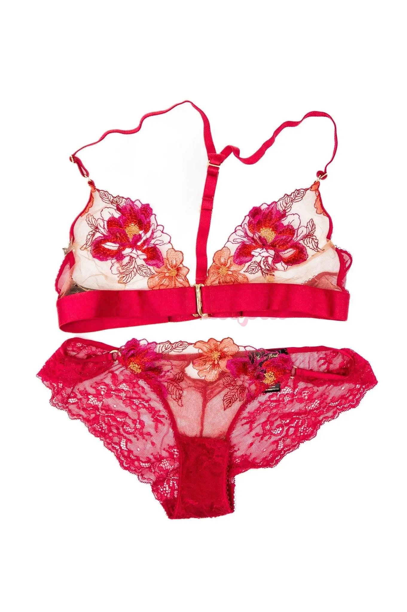 Alexa Payne HB Pink Bra & Panty Set Alexa Payne