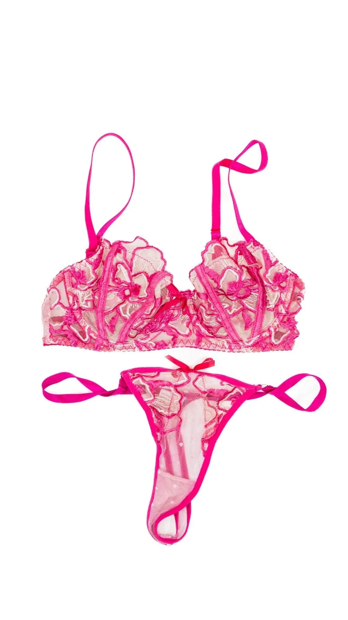Alexa Payne Pink & Light Pink Bra & Panty Set Alexa Payne