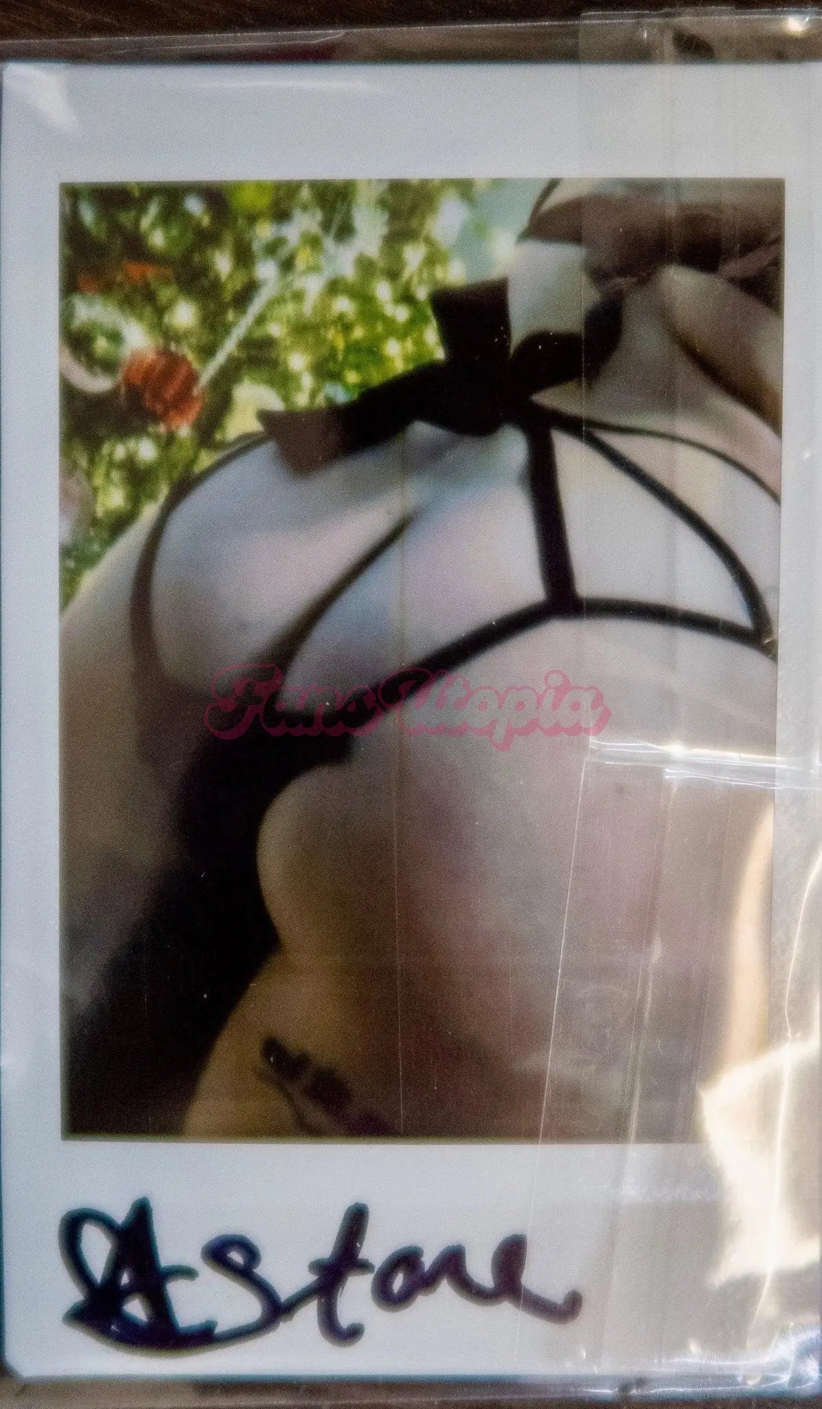 Ava Stone Black Bow Panties + Signed Polaroid Ava Stone