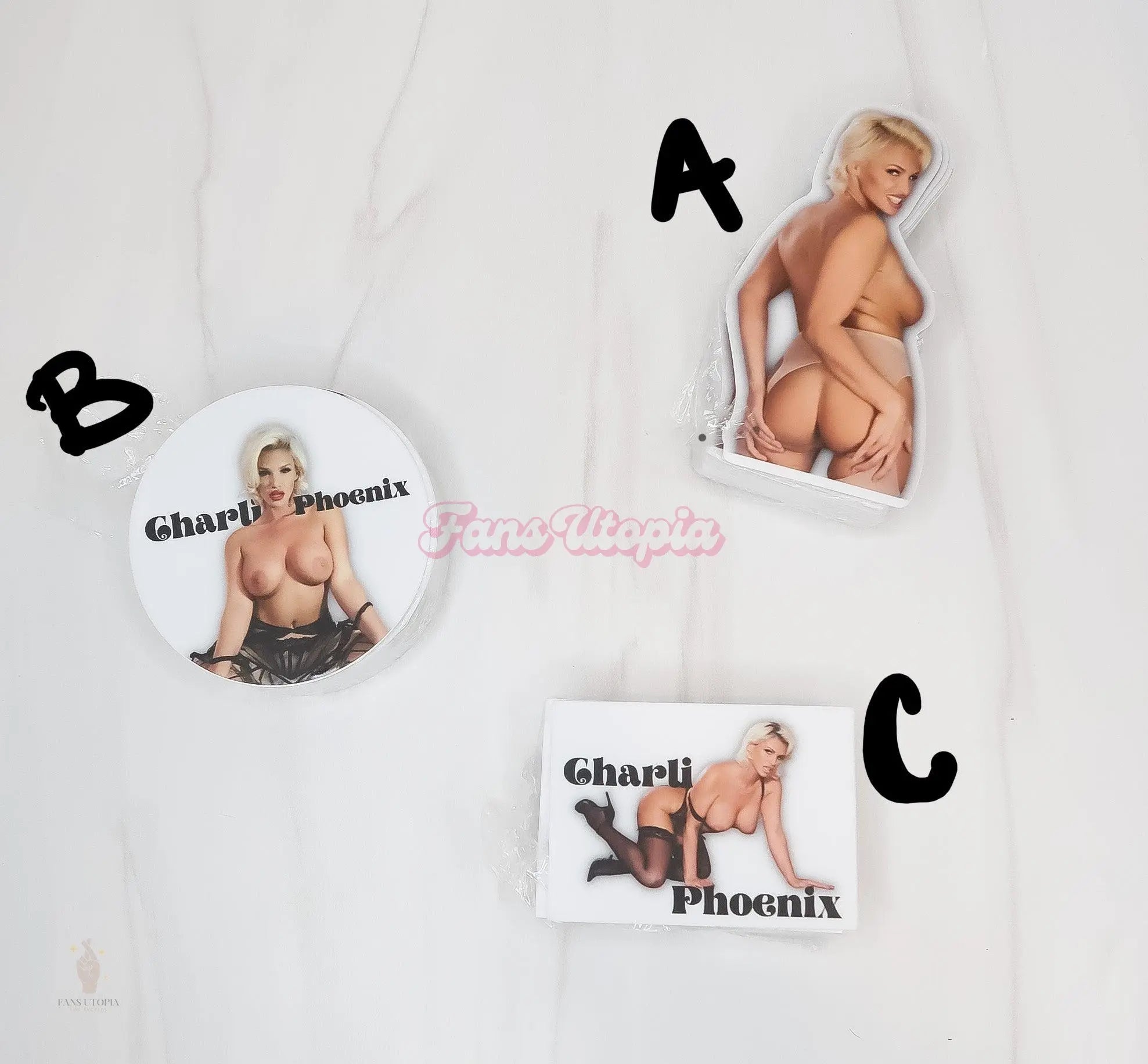Charli Phoenix Stickers Charli Phoenix