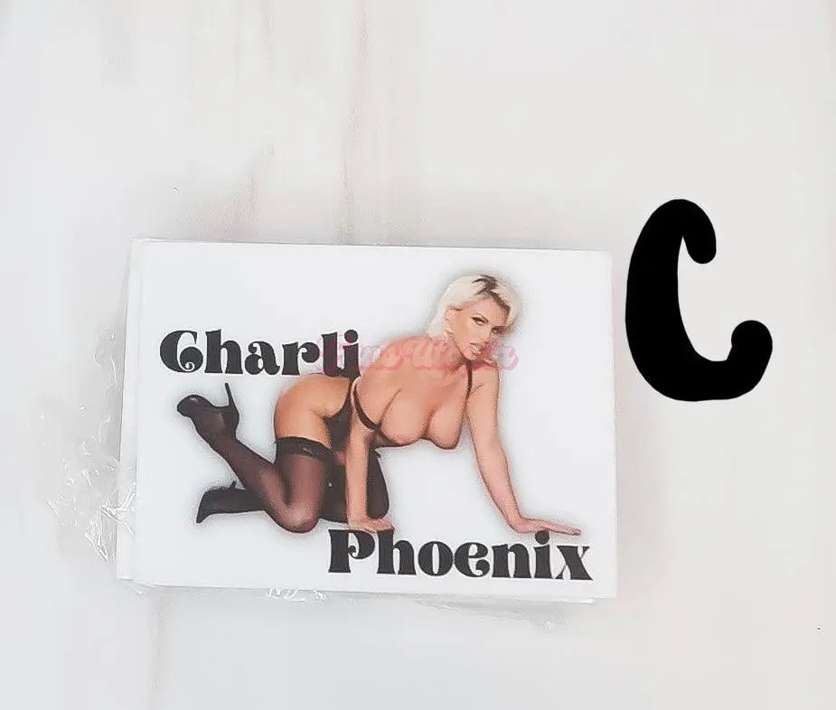 Charli Phoenix Stickers Charli Phoenix