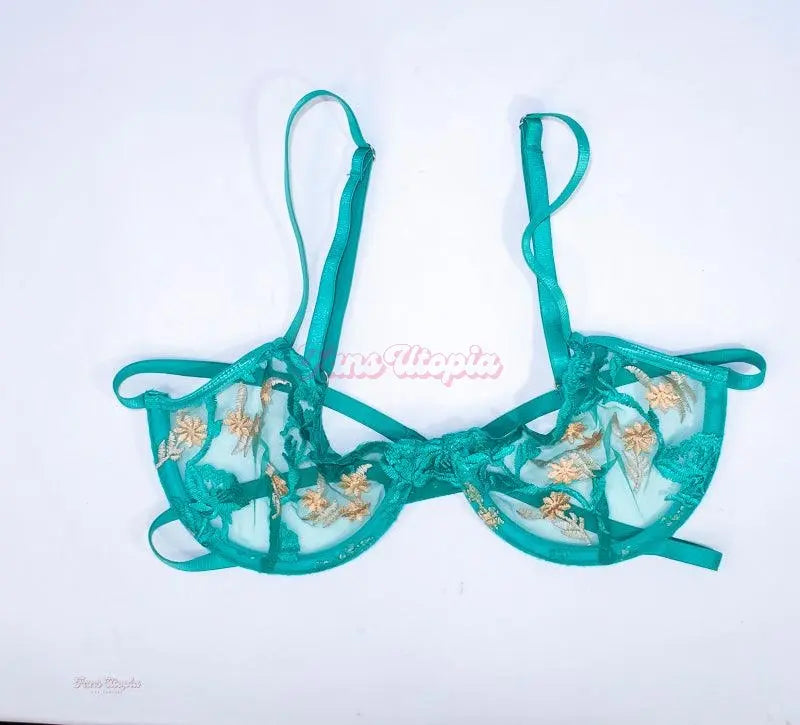 Jenna Foxx Aqua Lace Bra + Picture Jenna Foxx