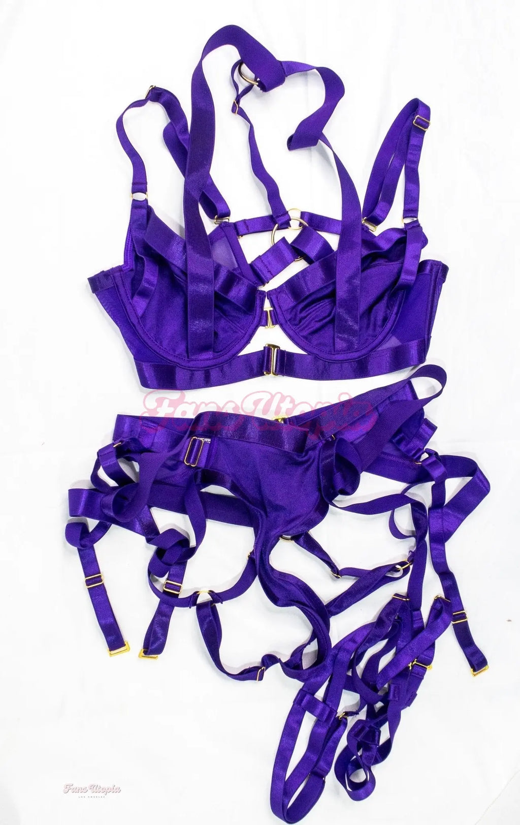 Payton Preslee Purple Bondage Lingerie Set Payton Preslee