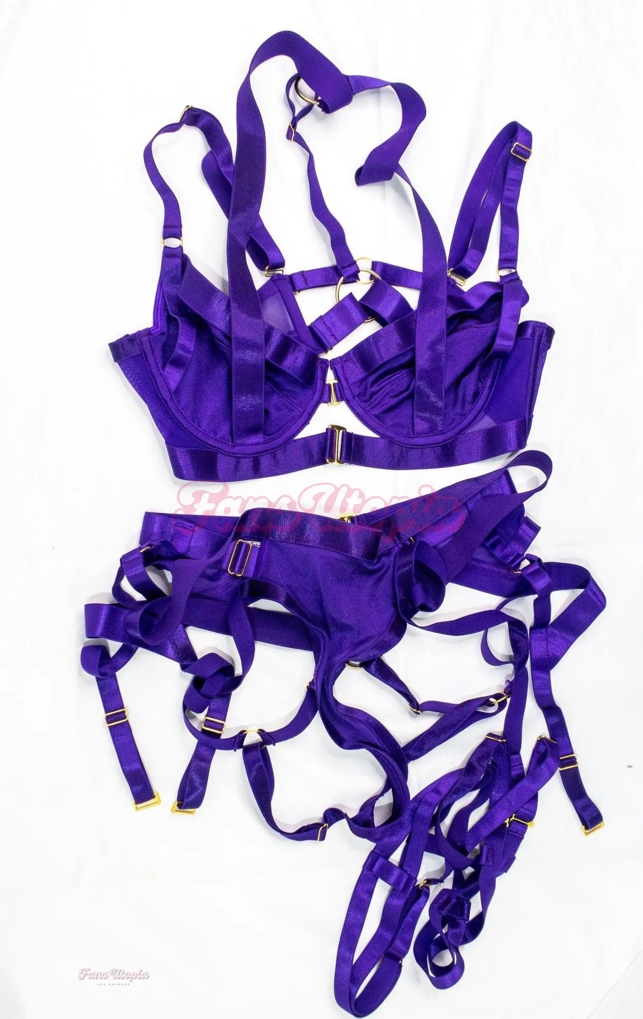 Payton Preslee Purple Bondage Lingerie Set Payton Preslee