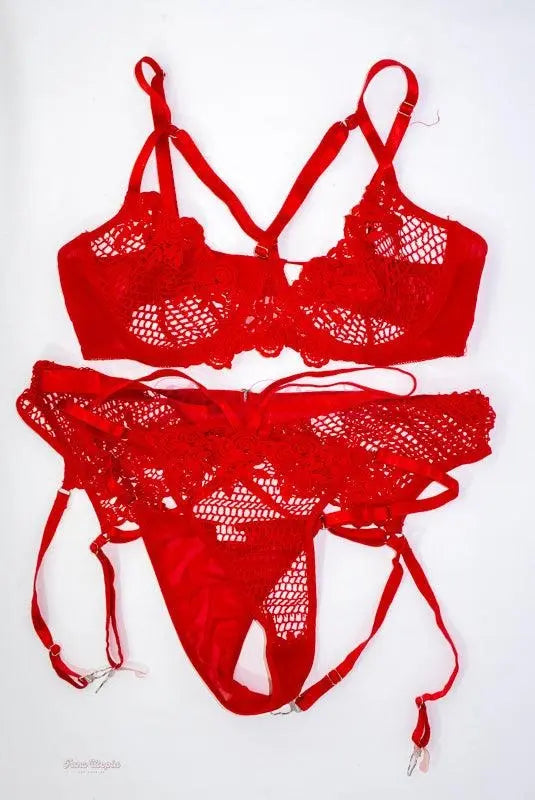 Payton Preslee Red Fishnet Lingerie Set Payton Preslee