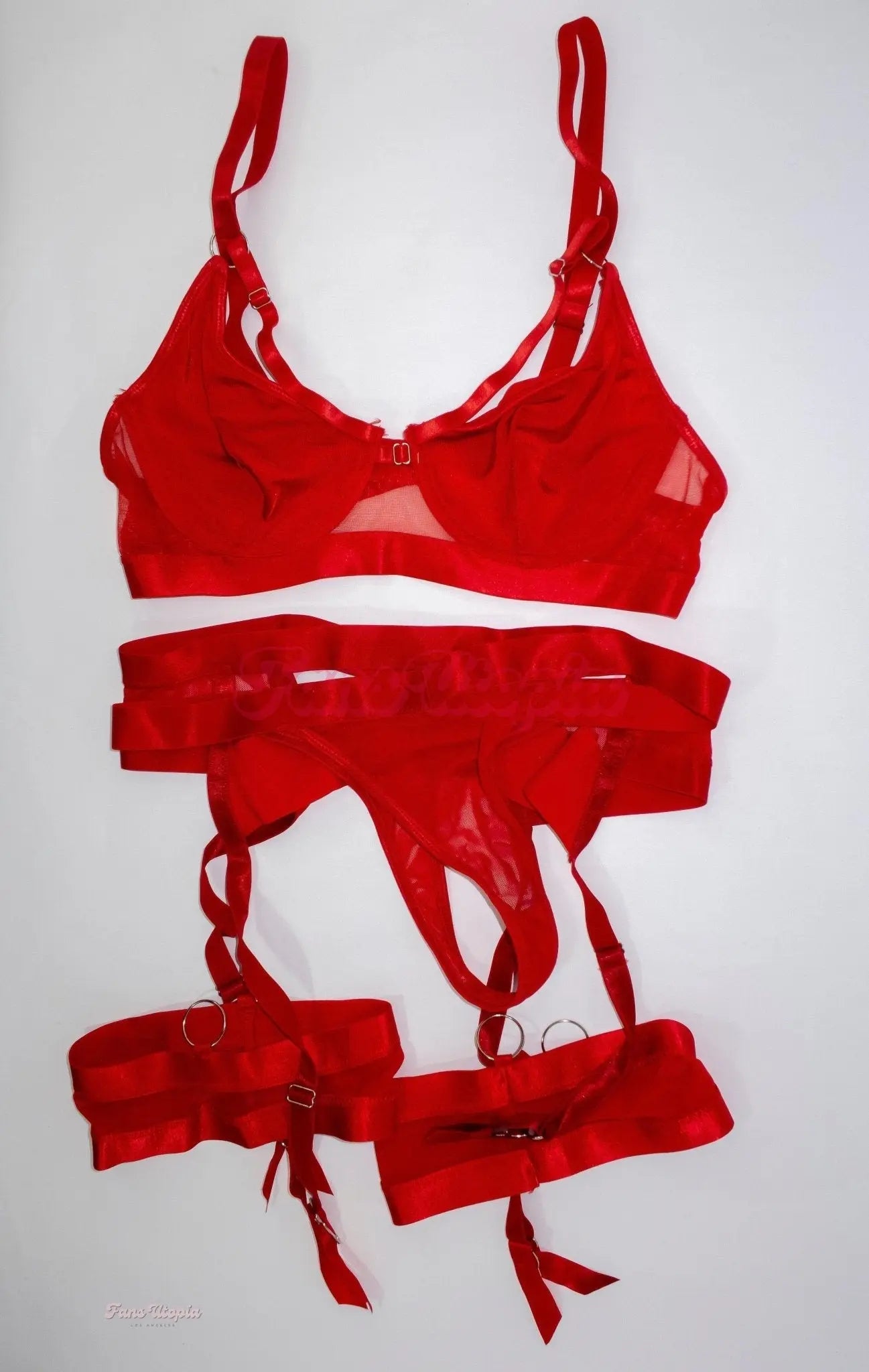 Payton Preslee Red Meshed Bondage Lingerie Set Payton Preslee