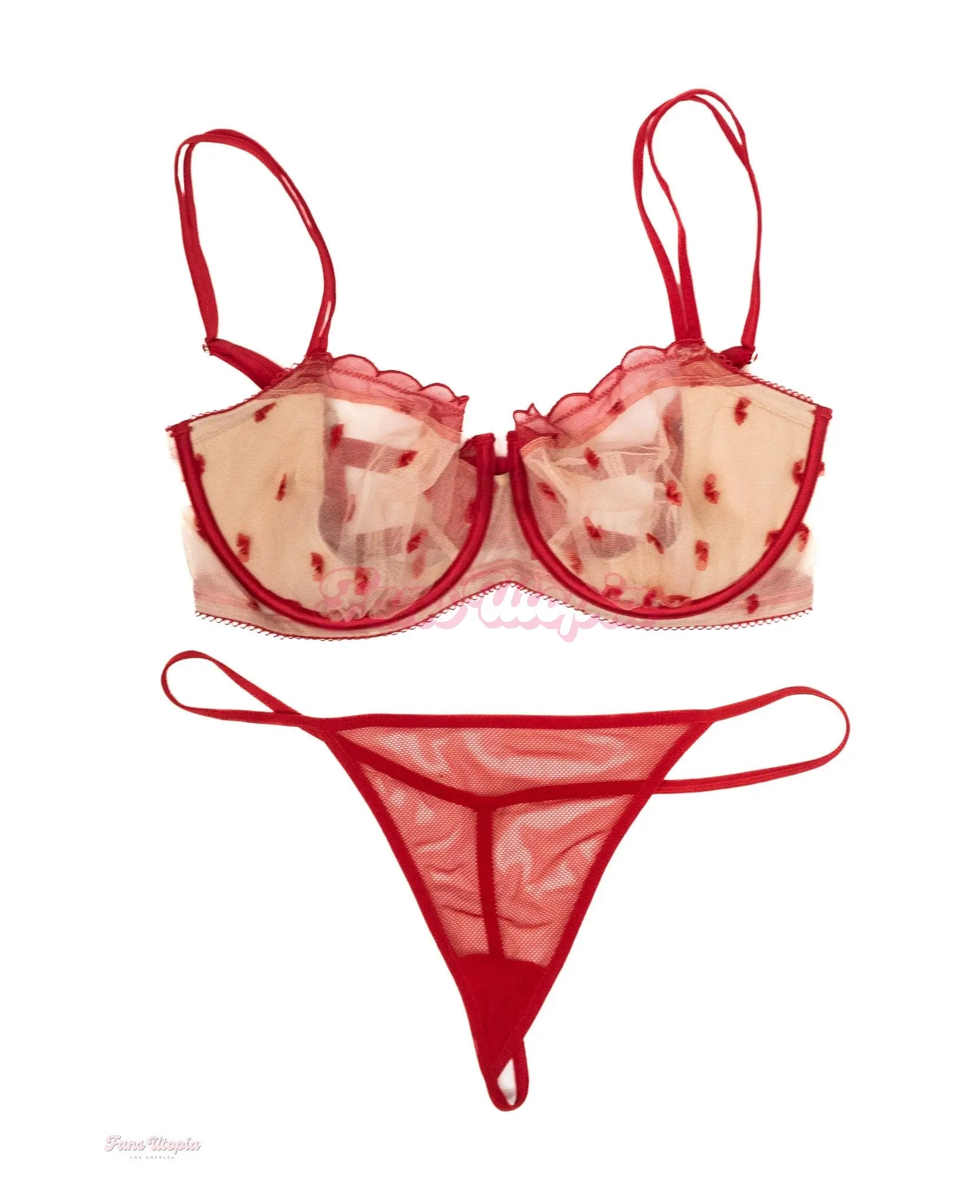 Riley Nixon Red Heart Mesh Bra & Panty Set Riley Nixon